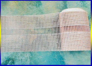 Bords revêtus de téflon de matière plastique de Nomex Kevlar de bande de conveyeur de maille attendant la personnalisation